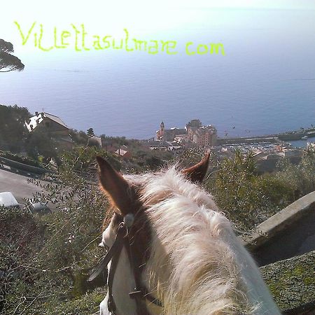 Villetta Sul Mare Camogli Eksteriør bilde