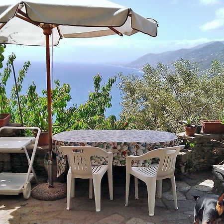 Villetta Sul Mare Camogli Eksteriør bilde
