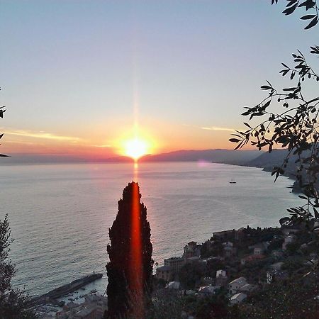 Villetta Sul Mare Camogli Eksteriør bilde