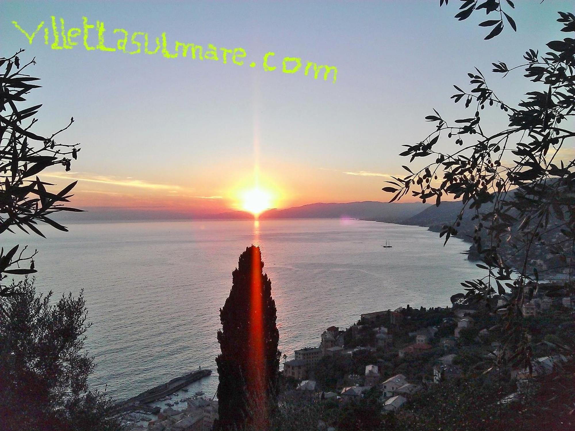 Villetta Sul Mare Camogli Eksteriør bilde