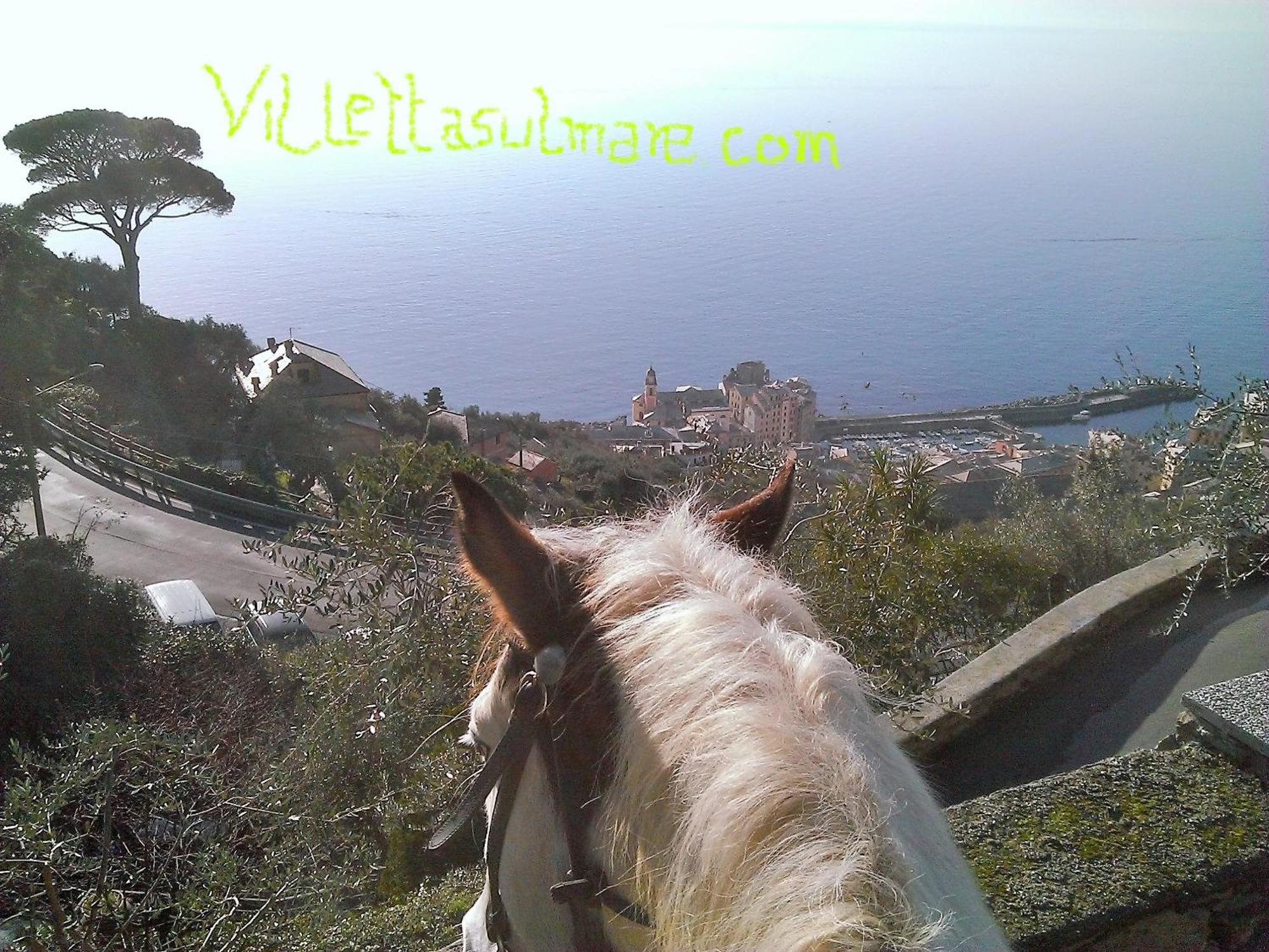 Villetta Sul Mare Camogli Eksteriør bilde