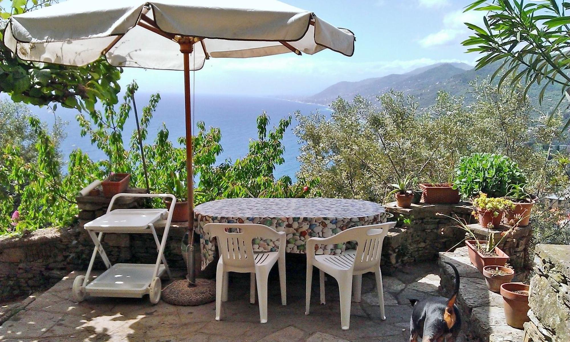 Villetta Sul Mare Camogli Eksteriør bilde