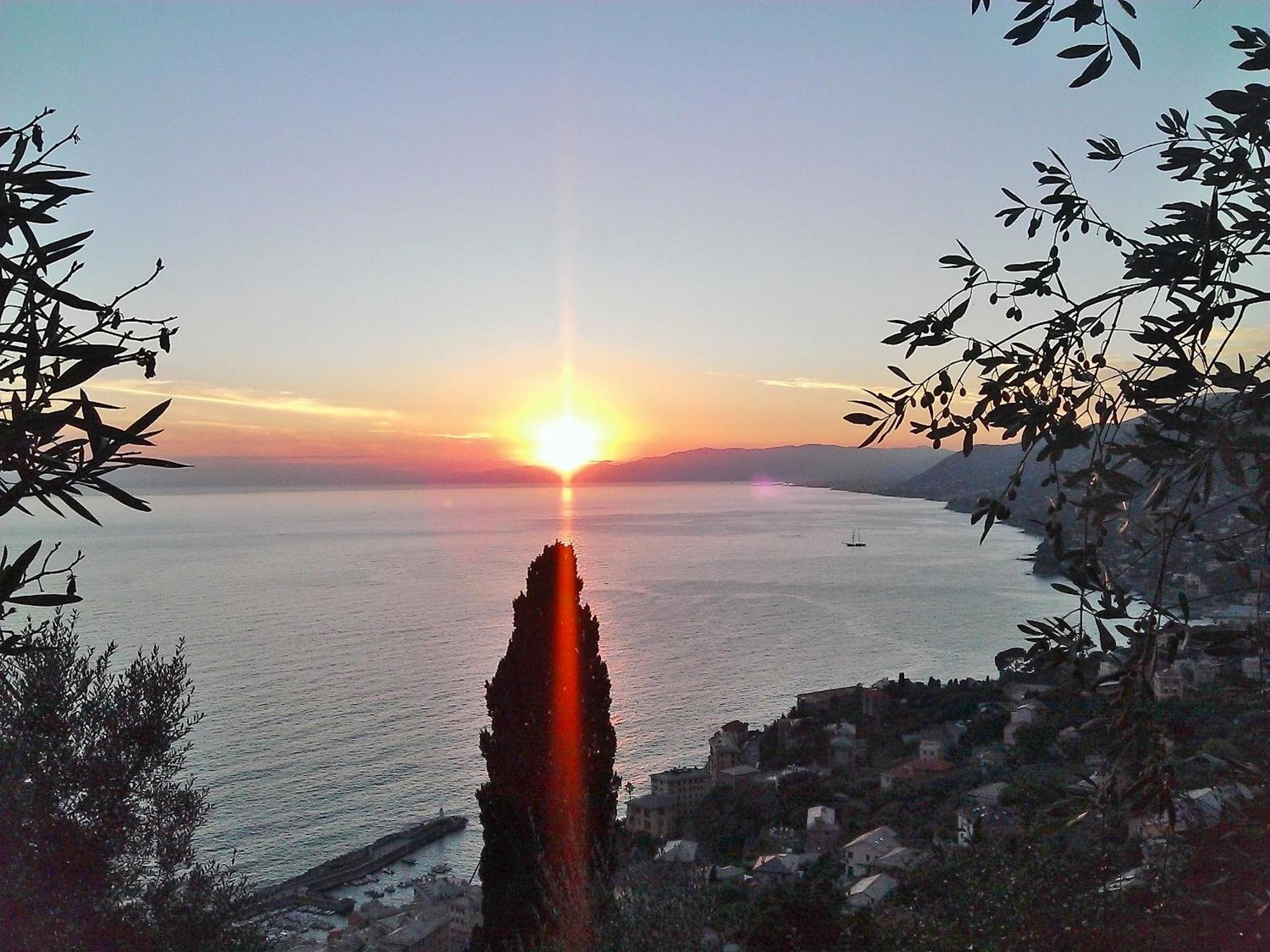 Villetta Sul Mare Camogli Eksteriør bilde