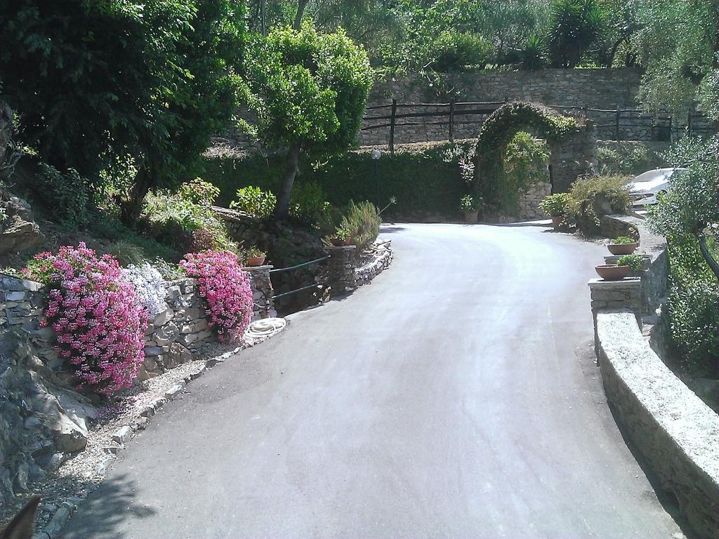 Villetta Sul Mare Camogli Rom bilde
